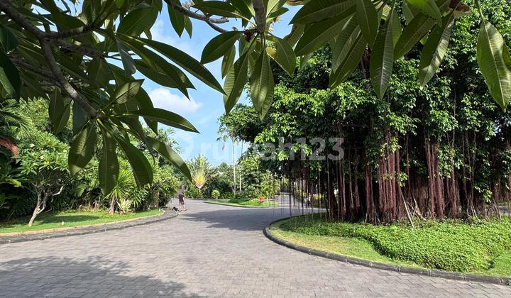 Di Jual Rumah Semi Villa Kuta Selatan Di Jual Rumah Semi Villa Kuta Selatan