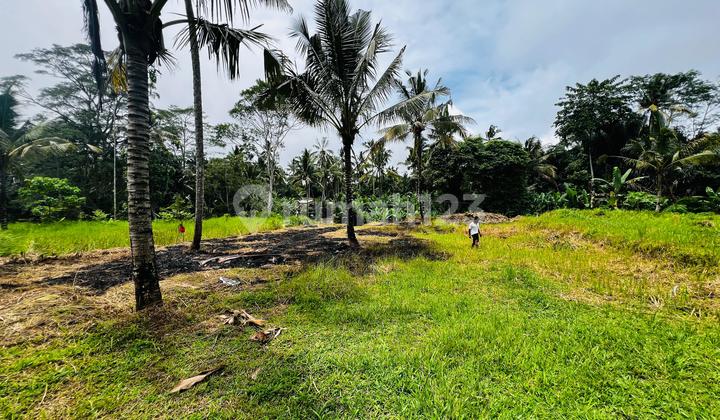 Payangan Ubud Land Payangan Ubud Land