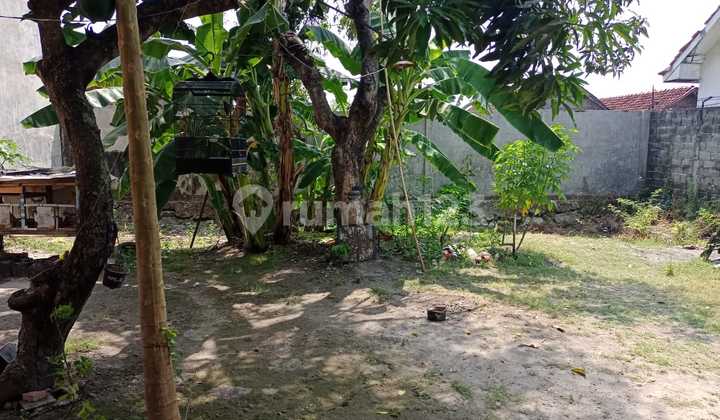 Jual Cepat Tanah Strategis Dekat Bandara - Harga Menarik untuk Investor