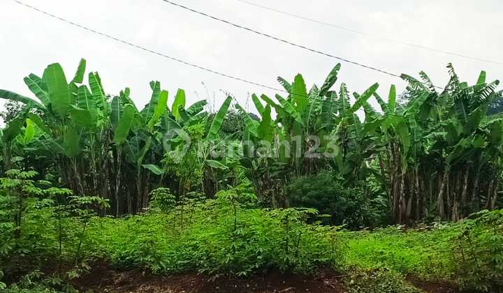 Rumah Bringin Ngaliyan Joglo Limasan Kota Semarang By Prabowo Siswanto Property 2