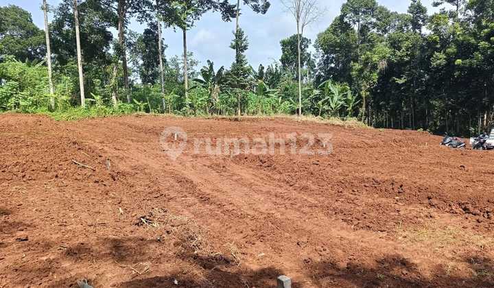 Tanah Kavling Pakintelan, Gunungpati, Kota Semarang By Prabowo Siswanto Property 2