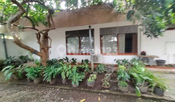 Dijual Rumah Cocok Untk Hunian atau Kantor di Kelud Gajahmungkur Semarang Rumah Tengah Kota Semarang Bebas Banjir By Prabowo Siswanto Property 1