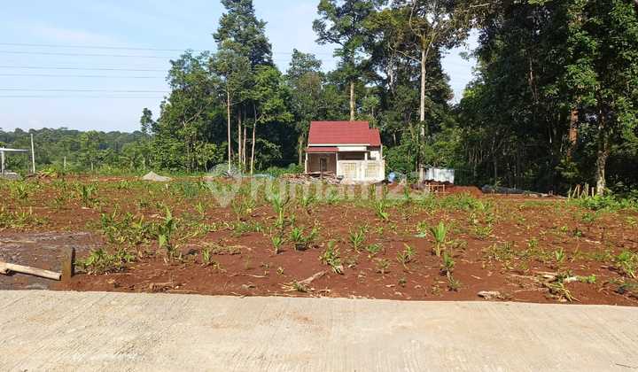 Tanah Kavling di Jual Tanah Kavling Strategis di Cepoko ,Gunungpati Kota Semarang By Prabowo Siswanto Property 2
