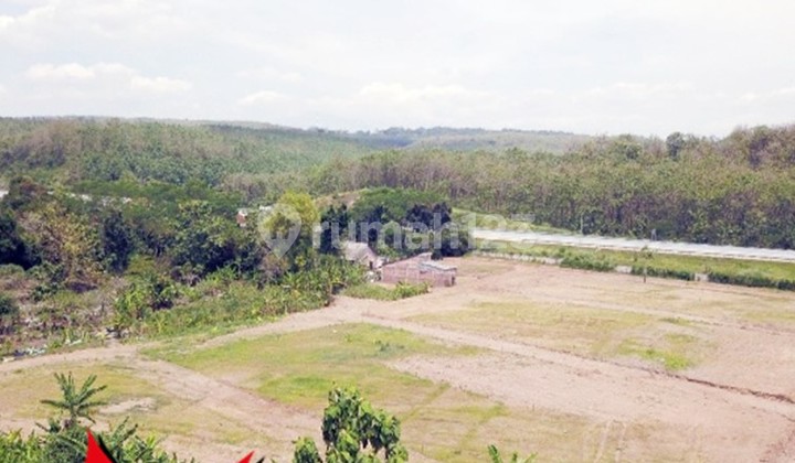 Solusi Lahan: untuk Perumahan, Rest Area, atau Kos-Kosan di Semarang | Lokasi Tenang & Akses Mudah 2