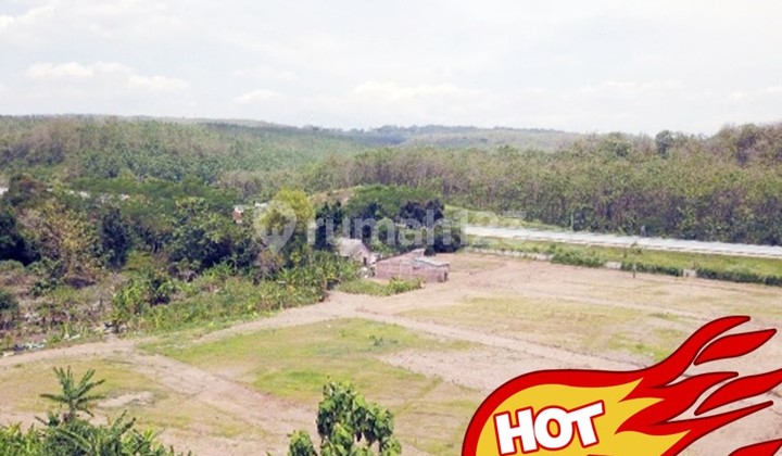 Peluang Langka! Tanah 9.998 M² di Lokasi Berkembang, Ngaliyan Semarang - Samping Tol & Dekat Terminal