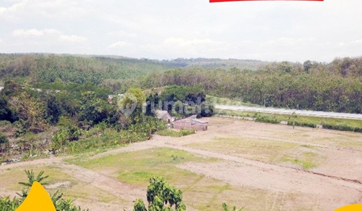 Cerdas Berinvestasi: Lahan SHM 10.000 M² Dekat Exit Tol Kaliwungu, Semarang - Potensi Roi Tinggi