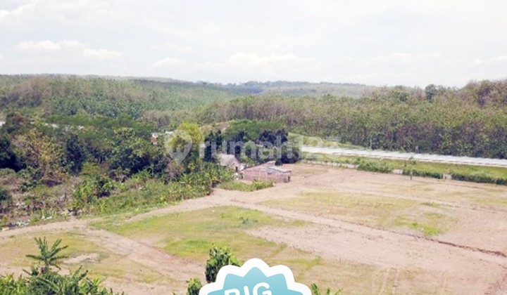 Tanah SHM Siap Huni/Bisnis di Ngaliyan, Semarang | 15 Milyar Nego | Dekat Tol & Pusat Kota