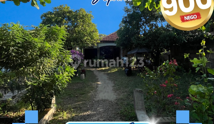 Dijual Rumah di Pantai Bandengan Jepara Cocok Untukhote Hotel / Penginapan