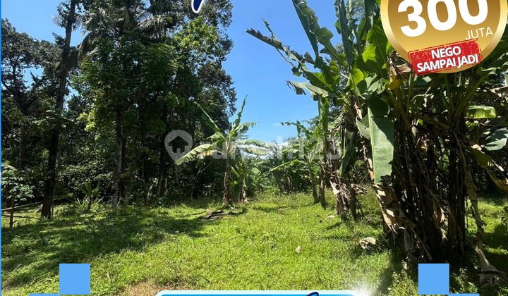 Jual Tanah Murah di Jepara Jual Tanah Murah di Jepara