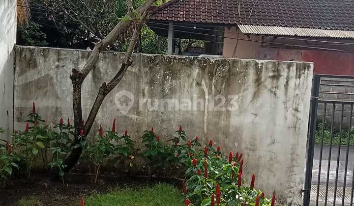 Freehold East-Facing House in Drupadi XIII - Morning Light, Prime Location, Ready for Living & Investment 2