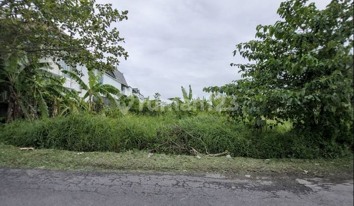 37 West-Facing Green Land in Munggu - A Large Canvas for Long-Term Vision