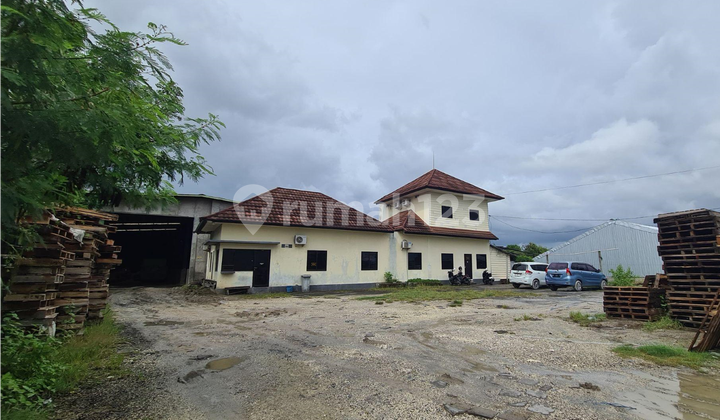 Gudang Raksasa 1.995 M² di Ubung - Akses Truk, Struktur Beton Kokoh, Siap Gas untuk Bisnis Skala Besar