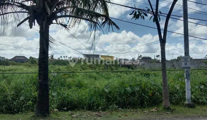 Golden Land Pererenan - Land with a Tourist Hut Steps to the Beach, Exotic River at the Back
