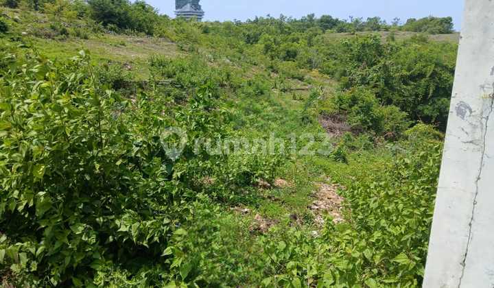 Hidden Gem Land di Badung Selatan | 16 Are Harga Rasional