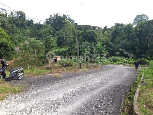 Promo Terbatas! 17 Kavling Siap Bangun di Sembung Gede - Jalan 7 Meter, Harga Turun! Promo Terbatas! 17 Kavling Siap Bangun di Sembung Gede - Jalan 7 Meter, Harga Turun!