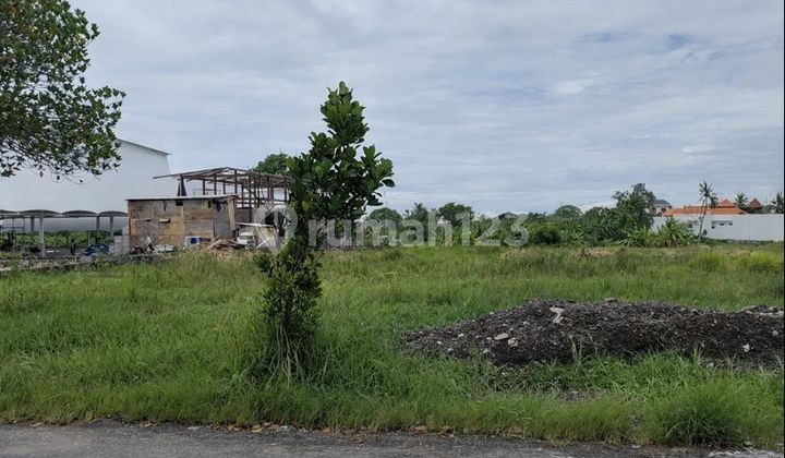 38 Are Eastern Land in Pererenan - A Rare Canvas for the Iconic Project of the Next 30 Years