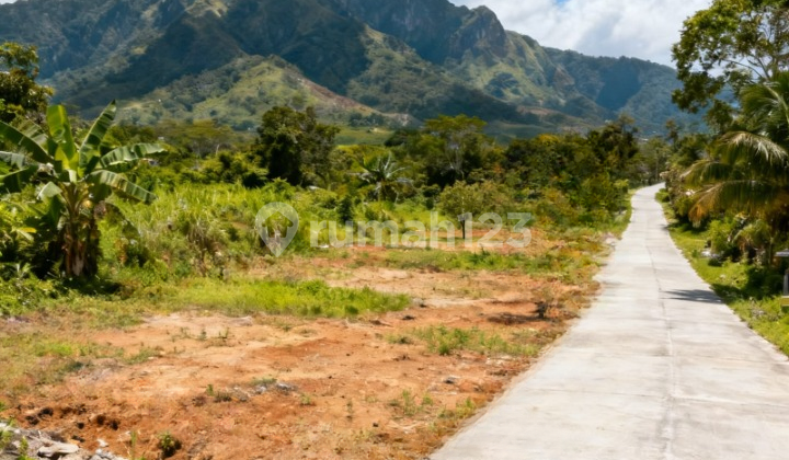 Kavling Murah Puncak 2 View Pegunungan Free SHM