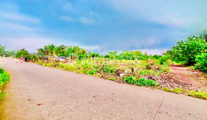 10 Minutes to Legok Toll Gate, Cheap Land Plots by the Road, 1 Million-ish per M2