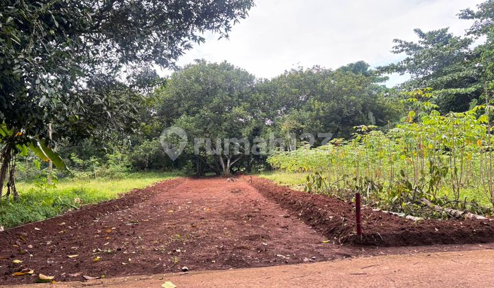 10 Menit Pinto Tol Burangkeng, Kavling Murah Cicil 12X Tanpa Bunga 10 Menit Pinto Tol Burangkeng, Kavling Murah Cicil 12X Tanpa Bunga