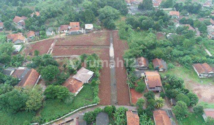 Cheap Land Plots in Tajurhalang Near Bomang Road (Bojonggede-Kemang) Cheap Land Plots in Tajurhalang Near Bomang Road (Bojonggede-Kemang)