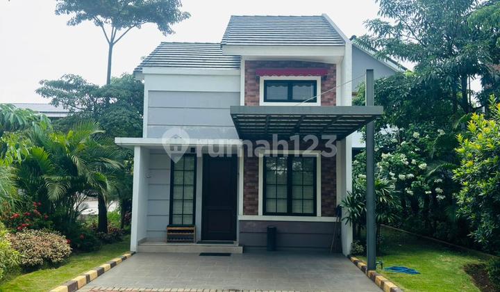 Rotterdam Kota Sutera Rotterdam Kota Sutera