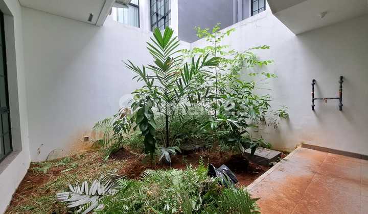 Disewakan Rumah Siap Huni Cluster Winona Alam Sutera Tangerang Disewakan Rumah Siap Huni Cluster Winona Alam Sutera Tangerang