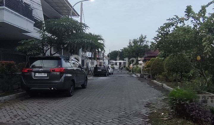 Disewakan Rumah Sutorejo Selatan 2
