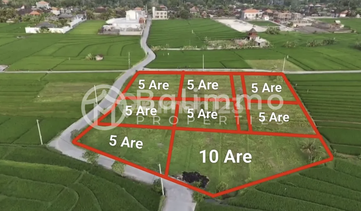5 To 45 Are Plot Land In Nyanyi