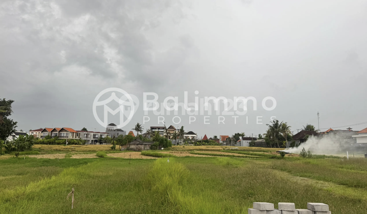 Nyanyi Land With Rice Field View Nyanyi Land With Rice Field View