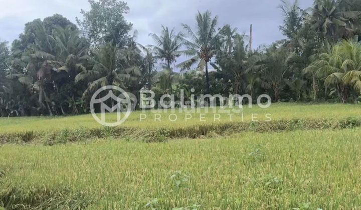 Freehold Land In Nyanyi Freehold Land In Nyanyi