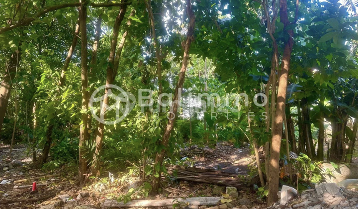 Padang Padang 2.8 Are Land Padang Padang 2.8 Are Land