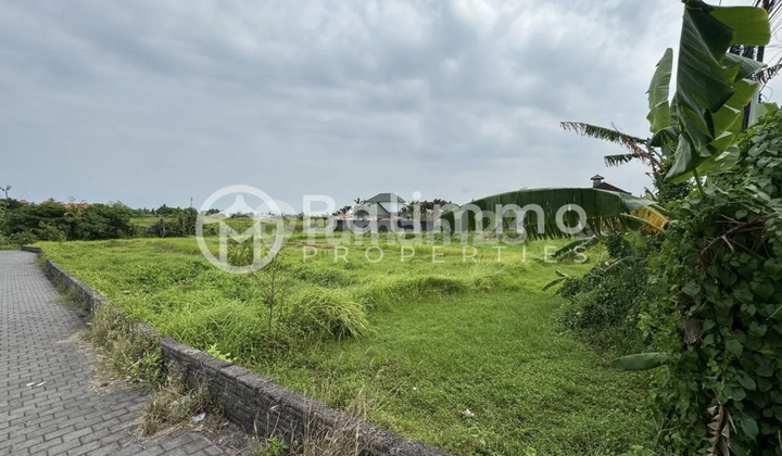 26 Are Land Under Lease/Freehold