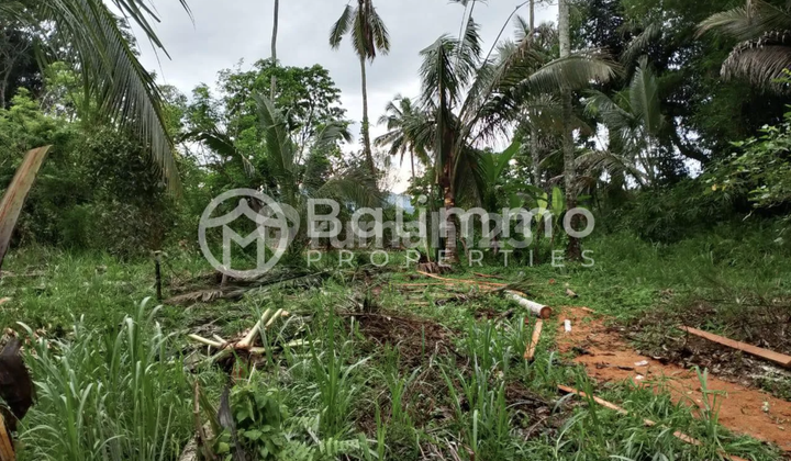 2 Are Freehold Land In Pecatu 2 Are Freehold Land In Pecatu