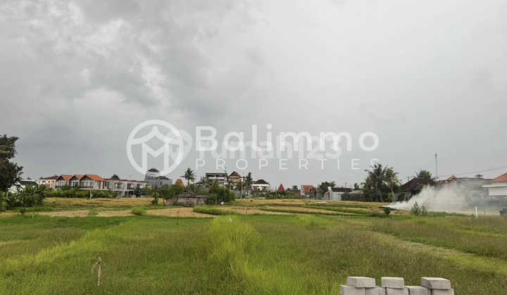 Tanah Dijual dengan Berbatasan dengan View Zona Hijau Rice Fields Tanah Dijual dengan Berbatasan dengan View Zona Hijau Rice Fields