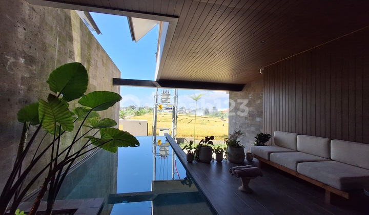 Di Jual Hak Milik 3 Kamar Villa di Babakan Canggu Area Di Jual Hak Milik 3 Kamar Villa di Babakan Canggu Area