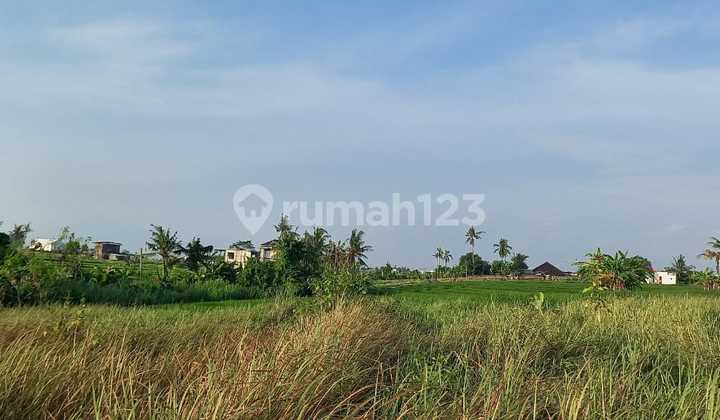 15 Are Tanah di Jual Nyanyi Hak Milik , Dekat dengan Pantai