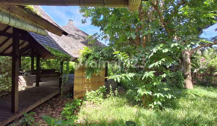 9,5 Are Tanah di Sewakan Lokasi Yg Sangat Startegis di Umalas Area