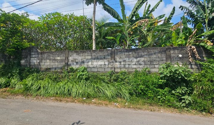 4 Are Leasehold Land For Rent In Ungasan, Badung, Bali