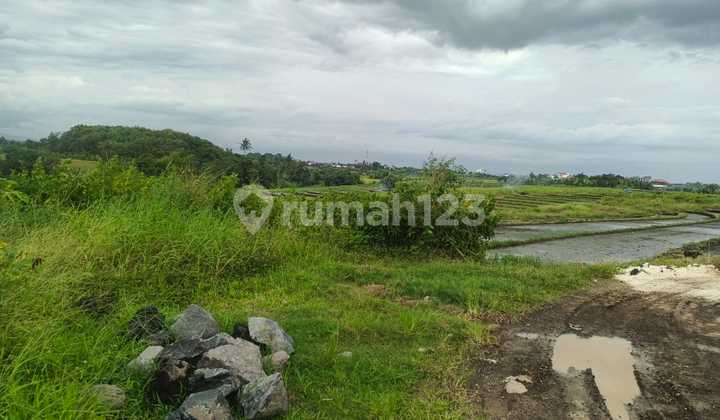 Freehold Land 45 Are for Sale Near Kelating Beach, Tabanan - Bali Freehold Land 45 Are for Sale Near Kelating Beach, Tabanan - Bali
