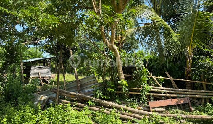 5 Are Freehold Land For Sale - 500 Meters To Melasti Beach, Bali