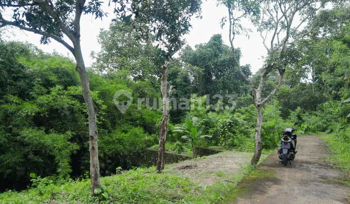 1.7 Are Freehold Land With River View - Padang Luwih, Dalung, Bali -Pj004