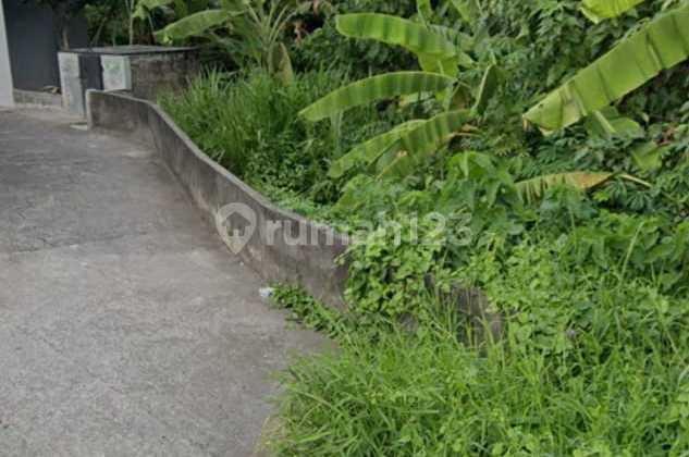 Land Size 5.25 Are Freehold In Padonan, Canggu -Pj017