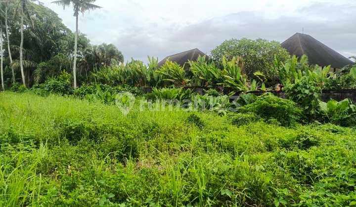 Freehold Land 53.25 Are Sea View for Sale at Kelating Beach Freehold Land 53.25 Are Sea View for Sale at Kelating Beach