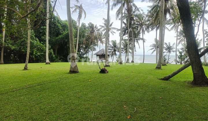 Freehold Beachfront 206 Are Land for Sale - Kelating Beach, Tabanan, Bali Freehold Beachfront 206 Are Land for Sale - Kelating Beach, Tabanan, Bali