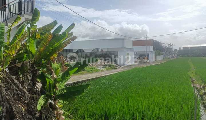 Dijual Tanah Freehold 30 Are - Cemagi, Badung, Bali Dijual Tanah Freehold 30 Are - Cemagi, Badung, Bali