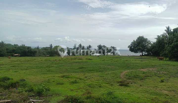 271 Beachfront Freehold Land For Sale Freehold In Kelating Beach, Bali