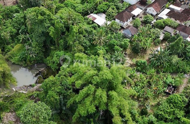 12.5 Are Sub-Lease Land for Rent in Buwit, Tabanan - Bali