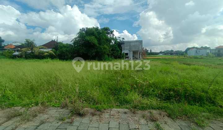 Leasehold Land 12 Are for Sale in Tangeb - Abianbase, Mengwi, Badung (Rice Field View)