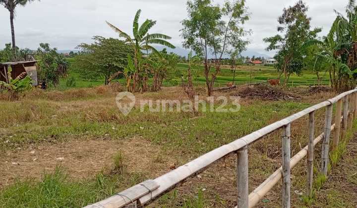 36 Are Freehold Land For Sale In Nyanyi - Lm238 36 Are Freehold Land For Sale In Nyanyi - Lm238