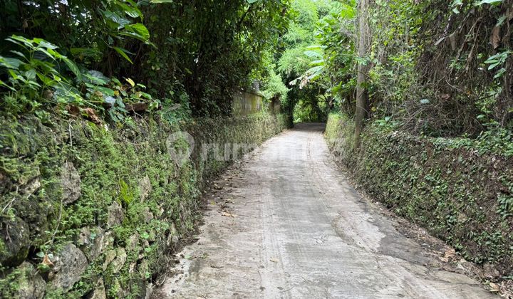 12.5 Are Sub-Lease Land for Rent in Buwit, Tabanan - Bali